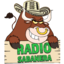 Radio Sabanera Logo